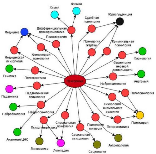 С чего начать изучение психологии для себя. 5 советов тем кто начинает изучение психологии