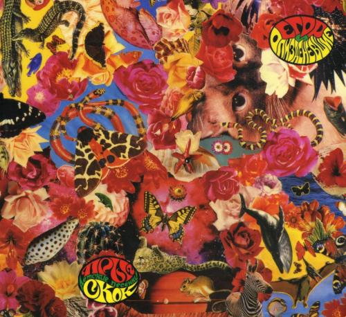 Как можно стать левым в своей социальной жизни