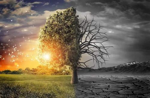 Как избавиться от панических атак и страха смерти. Признаки панической атаки 01