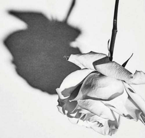 Как избавиться от панических атак и страха смерти. Признаки панической атаки 02