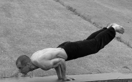 Поза павлина йога. Мощная поза для разжигания огня пищеварения: Маюрасана или поза павлина