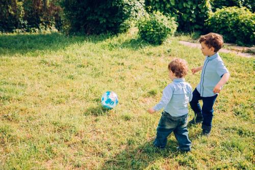 Развитие ребенка от 2 до 3 лет: практическое пособие. Виды развития ребёнка