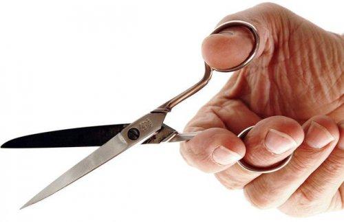 Можно ли самостоятельно избавиться от боязни животных. Предпосылки и причины панических атак 07