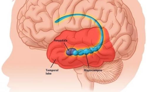 Как гипноз может повлиять на результаты сдачи ЕГЭ. Зачем нужна психологическая подготовка к ЕГЭ?