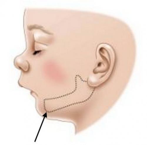 Как разговорить ребенка в 2 года. Ребенку 2 года ещё не разговаривает 02
