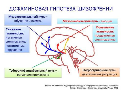Как разговаривать с больным шизофренией: практические советы и рекомендации 03