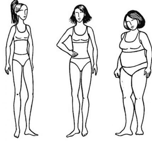 Какие параметры фигуры считаются идеальными с точки зрения медицины. Антропометрия: Идеальная женская фигура