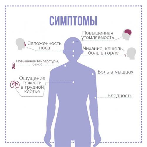 Какие меры предосторожности нужно соблюдать при появлении подозрительных симптомов. Как правильно вести себя в условиях эпидемии (пандемии)?