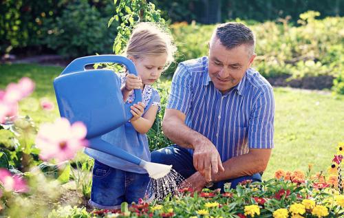 Вместо сада: как организовать развитие ребенка дома 05