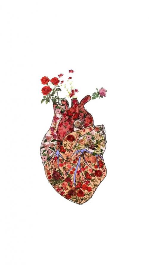 Психология любовь это. Чем любовь отличается от влюблённости? 04