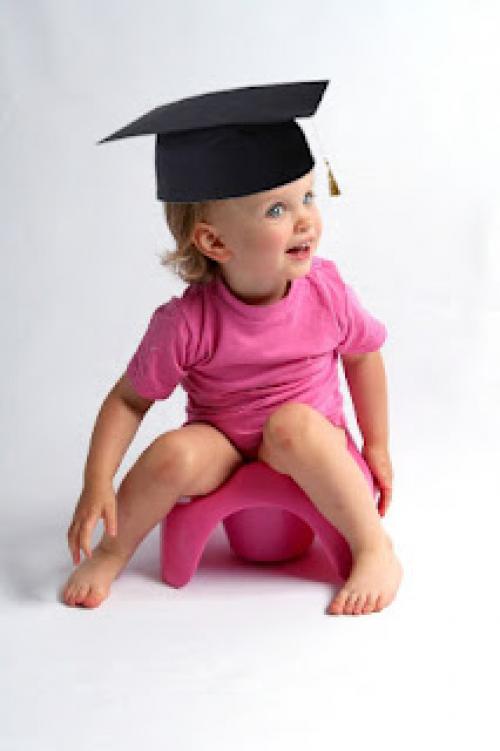 Развитие ребенка от 2 до 3 лет: практическое пособие. Дети от 2 до 3 лет