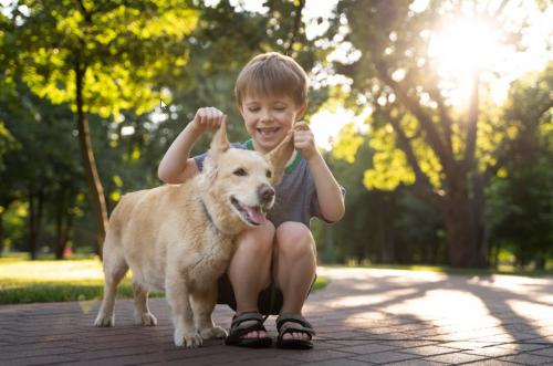 Какие методы вы используете, чтобы научить ребёнка ответственности, например, за домашних животных. Как научить ребёнка заботиться о животных