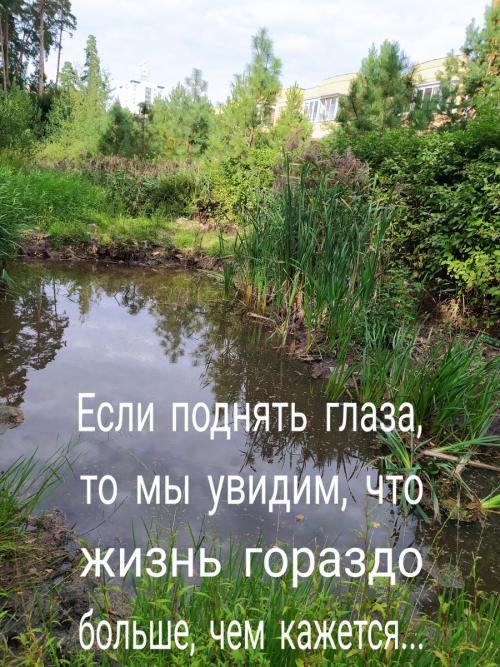 Как избавиться от страха оставаться ночью одной. Когда начинается фобия  05