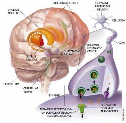 Как воспитывать гиперактивного ребенка. Гиперактивный или просто активный ребёнок? 01