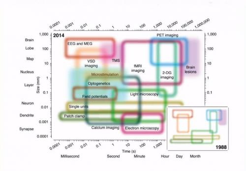 Какие методы исследования позволяют изучать топографию и характеристики внутреннего строения мозга. Методы исследования головного мозга