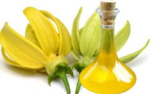 Можно ли использовать ароматерапию для снижения беспокойства. Какое эфирное масло успокаивает нервную систему и способствует хорошему сну — Топ 8 видов