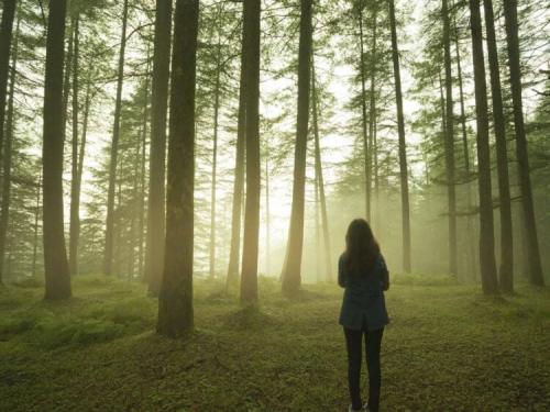 Как длительное нахождение на природе влияет на уровень тревоги. 10 минут ежедневного пребывания на природе помогают снизить тревогу и беспокойство