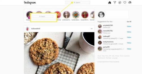 Instagram Search user. How to Search Instagram