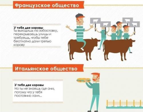 Откуда вообще взялись эти коровы? 05