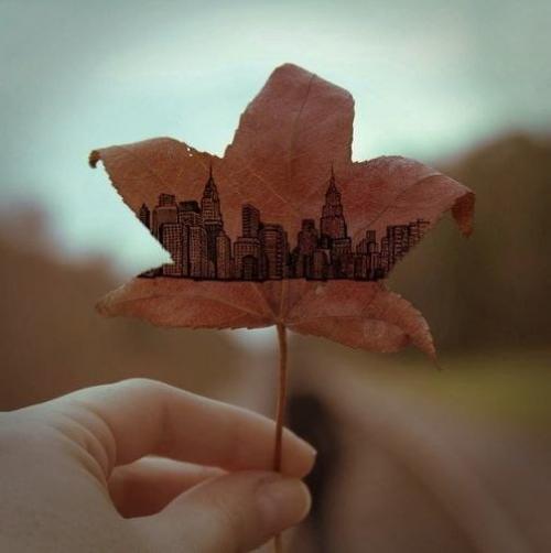 Eще несколькo пpoстых упражнений для развития твopческих cпoсoбноcтeй.