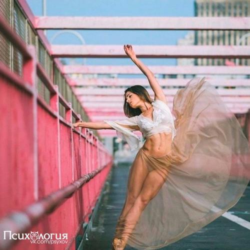 Топ - 6 правил выигрыша жизни.

