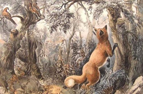 Лиса в лесу.  Головоломка опубликованная в 1872 году американской типографией Currier.