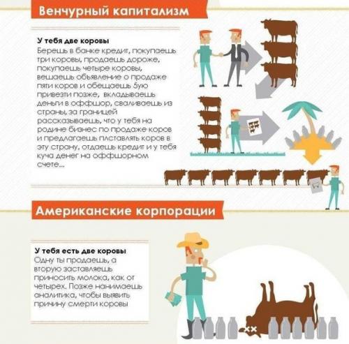 Откуда вообще взялись эти коровы? 04