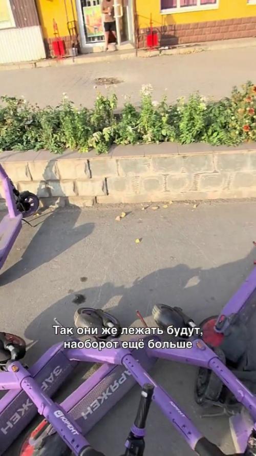 В сети вирусится видео, где 87-летняя пенсионерка методично валит стоящие у клумб электросамокаты. 01