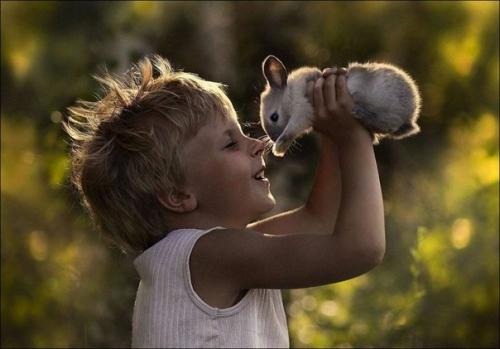 Притча о ценности жизни. Притча о ценностях жизни.