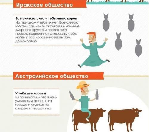 Откуда вообще взялись эти коровы? 08