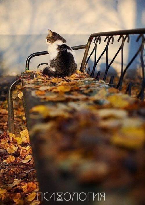 Зачем вода с лимоном натощак? 04 Зачем вода с лимоном натощак? 04