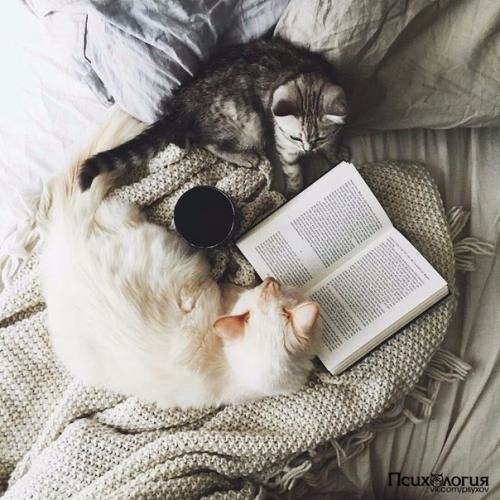 Топ - 10 лучших интеллектуальных бестселлеров 1. Дж.