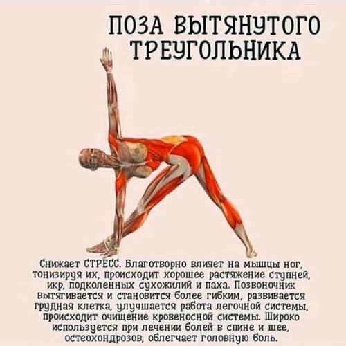 7 самых важных асан йоги. 01