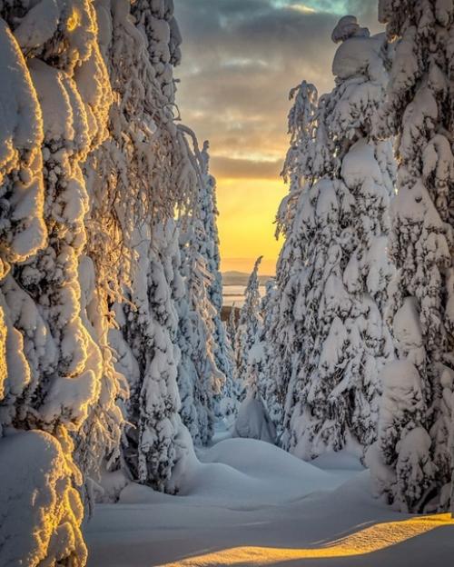 Думайте только о хорошем. 03