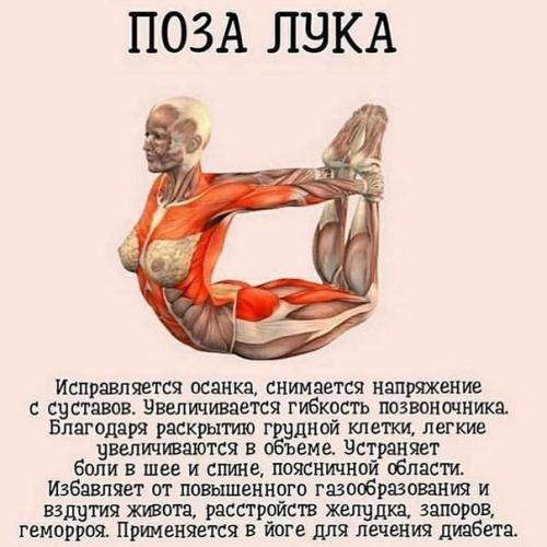 7 самых важных асан йоги. 04