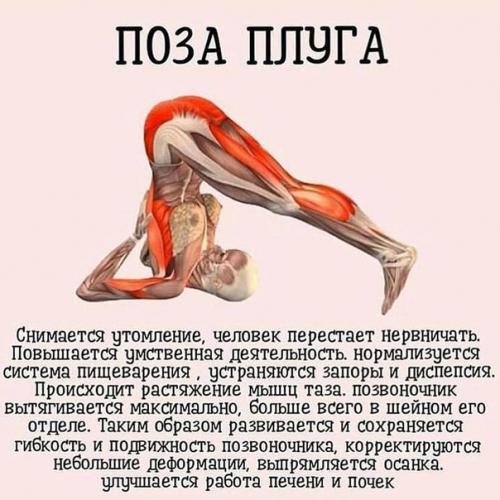 7 самых важных асан йоги. 06