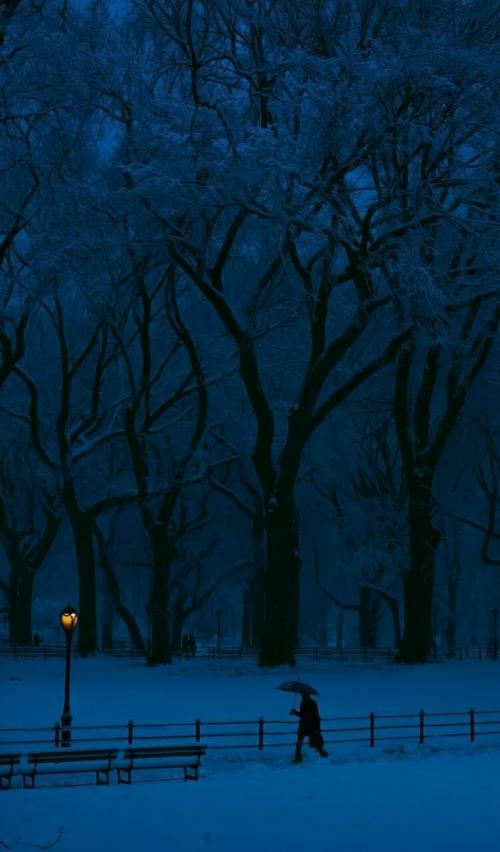 Атмосфера зимнего вечера. 01