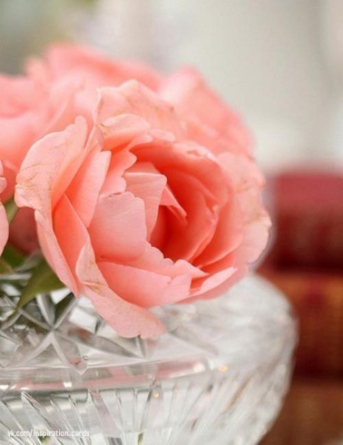 Махатма Ганди: 10 советов об изменение мира. 01