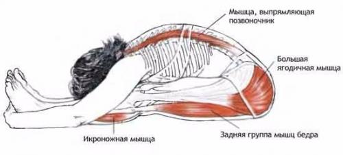 Закрытая книга.  Целенаправленное усилие и непривязанность к результатам сделают вашу практику более глубокой.
