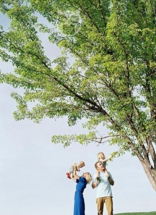 Волшебные слова в обращении с ребёнком.