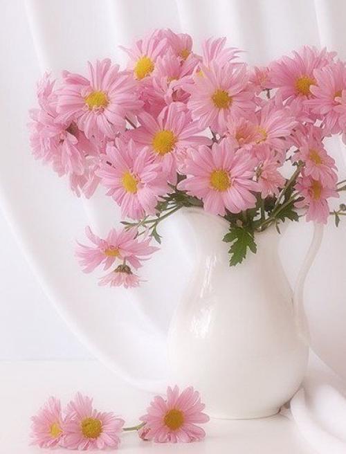 Дорогие девушки, от всей души мы поздравляем вас с 8 марта. 04