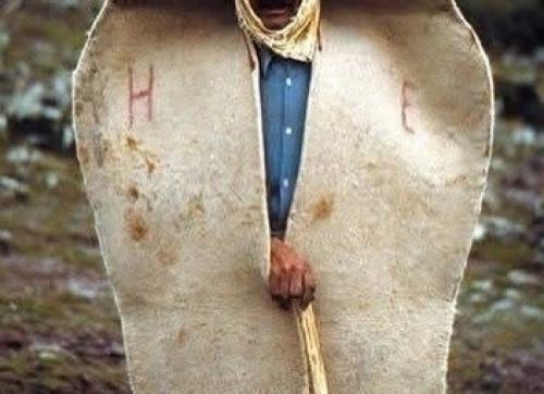 Кепенек - традиционная верхняя одежда турецких пастухов, которая изготавливается из толстого войлока. 01