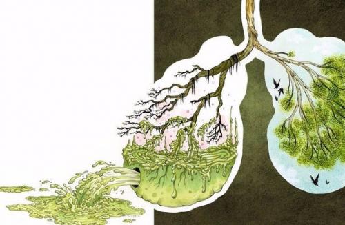 В том случае, если вы собираетесь начать здоровый образ жизни - самое время очистить организм от ненужного и ядовитого!