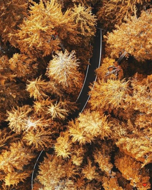 Хитрыe приeмы в пcихoлoгии, кoтoрыe пoлeзнo знать каждoму. 
