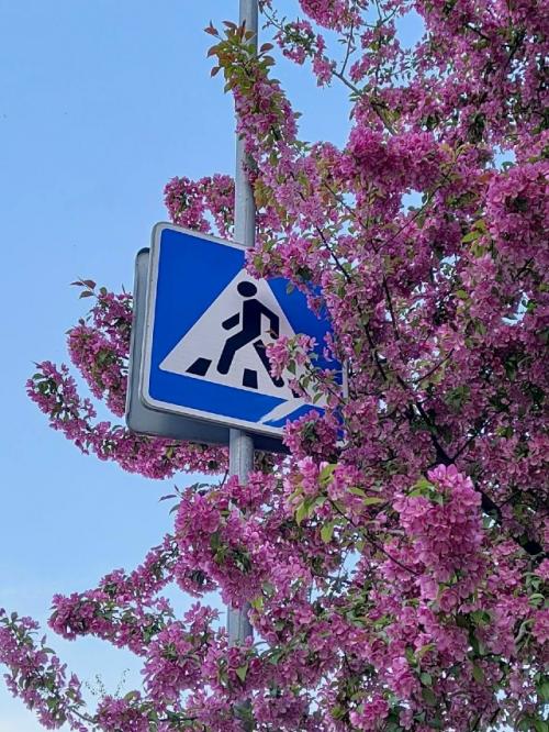 С недавних пор я стала сама 