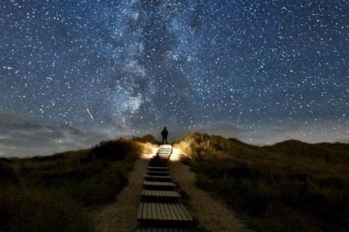 Психология выбора. (Автор: Илья латыпов).