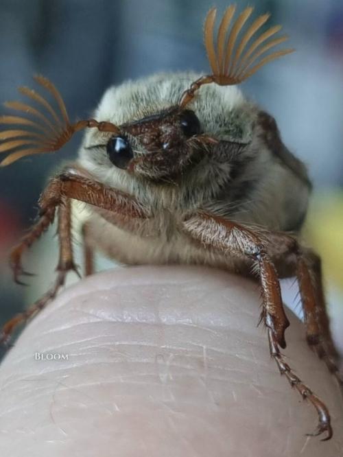 Вы только посмотрите на этого пушистика! 03 Вы только посмотрите на этого пушистика! 03