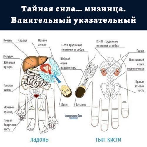Тайная сила … мизинца.