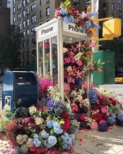 Среди беспорядка найдите простоту; среди раздора найдите гармонию. 05