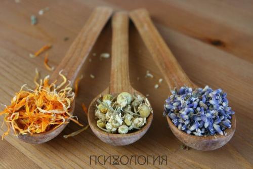 Советы предков?   Воду пей перед едой - будешь долго молодой.